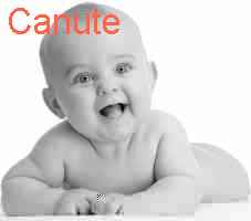 baby Canute